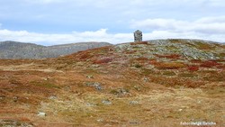 Finndalshornet