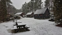 Skinfloren