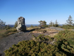 Blomliknuten