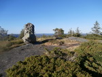 Blomliknuten