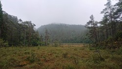 Kyrkjehovda