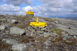 Nasarøysa