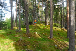 Kletthammerhaugen