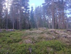 Rundmyrhøgda