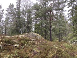 Kåterudhøgdene