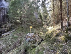 Riksrøys IIC