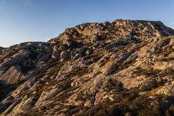 Nessåta