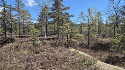 Øst for Svanstul