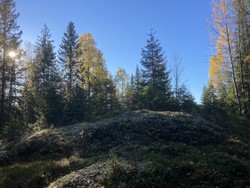 Damåsen