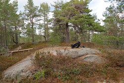 Langevannskollen