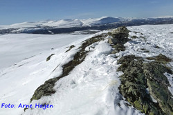 Bølhaugen