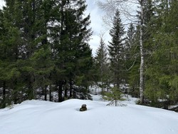 Sæterkollen