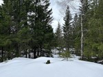 Sæterkollen