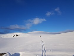 Finnslettheia nord