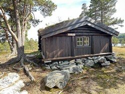 Damtjønna