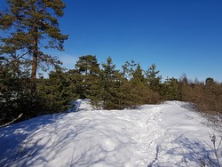Saraholmen