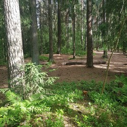 Oksefjellet