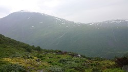 Drivande