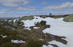 Tjønnefjell