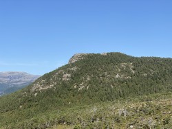Daurmålshaugen