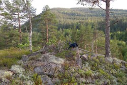 Tjuvenborgen
