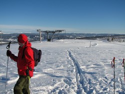 Saukollen