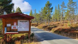 Rødungsvegen avgift