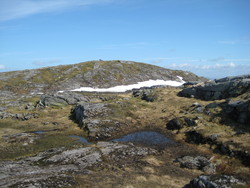 Kvitfjellet