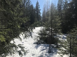 Fyllingskollen