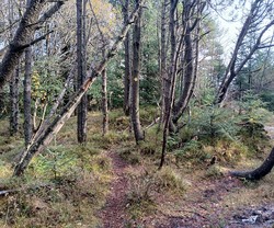 Storasundfjellet
