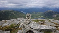 Snjonipa