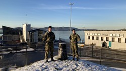 Bergenhus søyle