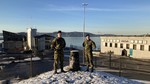 Bergenhus søyle