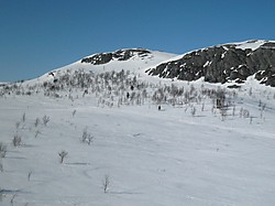 Knausehøgdi