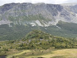 Helehovda