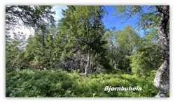 Bjørnbuheia