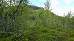 Storskardhøgda