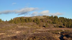 Mjeltsnatten