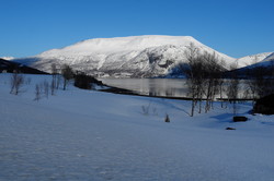 Svartfjellet