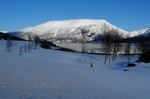 Svartfjellet