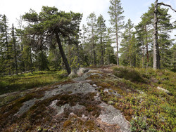 Rasaaksla Sør
