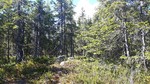 Kroktjernsberget