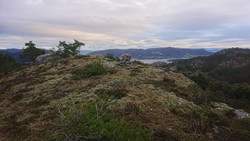 Vardafjellet