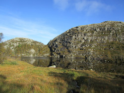 Løknuten