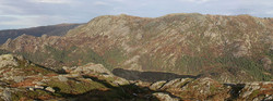 Stovegolvet