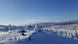 Blesterråkvarden