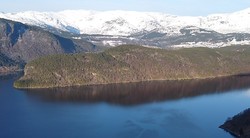 Storfurehaugen
