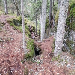 Bjønnehiet