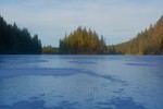 Øya i Kalvsjøen