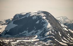 Sandgroveggen